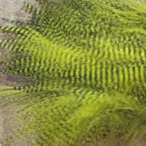 Fine Black Barred Marabou